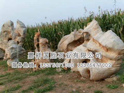 點(diǎn)擊查看詳細(xì)信息<br>標(biāo)題：自然奇石 閱讀次數(shù)：1697