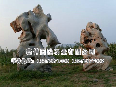 點(diǎn)擊查看詳細(xì)信息<br>標(biāo)題：自然奇石 閱讀次數(shù)：1575