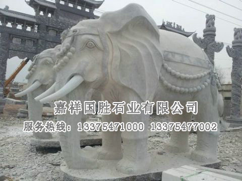 點擊查看詳細(xì)信息<br>標(biāo)題：大象 閱讀次數(shù)：2325
