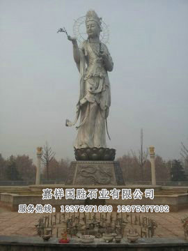 點擊查看詳細信息<br>標題：滴水觀音 閱讀次數(shù)：2347
