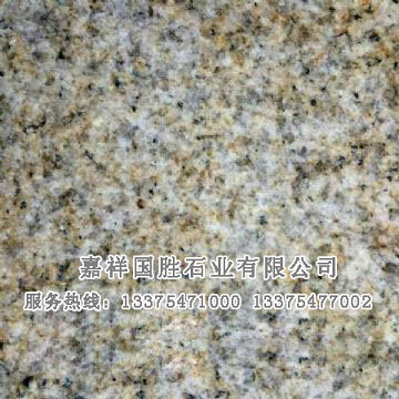 點擊查看詳細信息<br>標題：黃銹石荔枝面 閱讀次數(shù)：2248