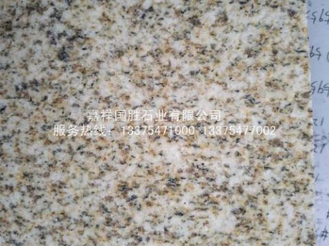 點擊查看詳細信息<br>標題：黃金麻 閱讀次數(shù)：1771